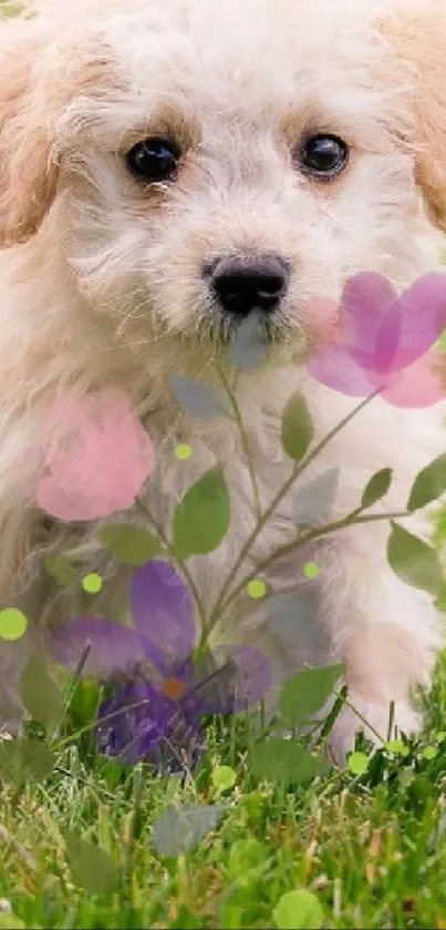 Cute white puppy with pastel flowers on green grass.