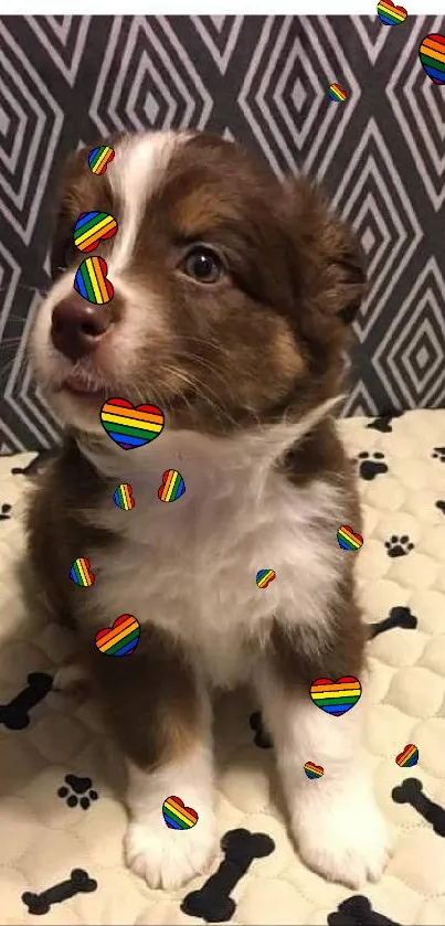 Cute brown and white puppy with geometric and paw print background.