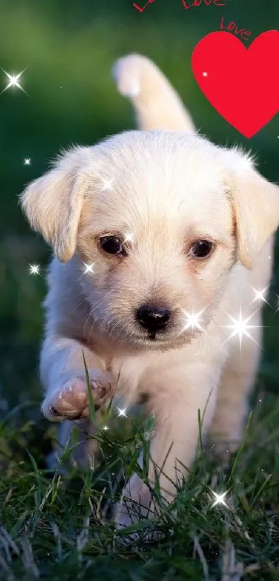 Adorable puppy running with a heart graphic on grass.