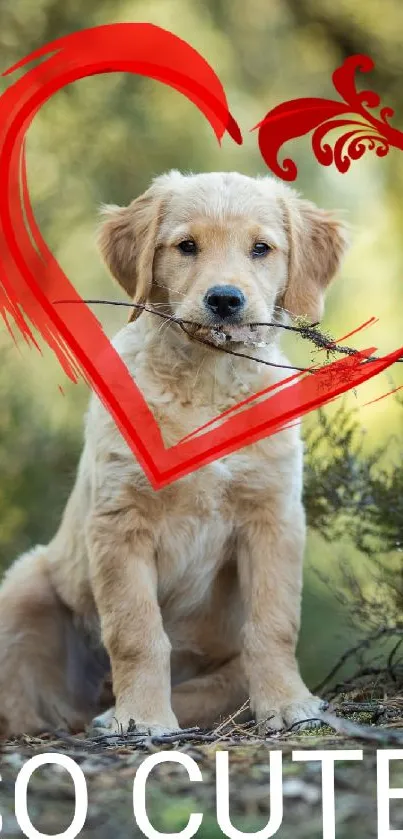 Adorable golden retriever with red heart in nature.