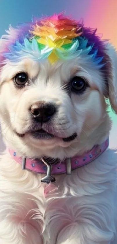 Charming puppy with rainbow hat on colorful background.