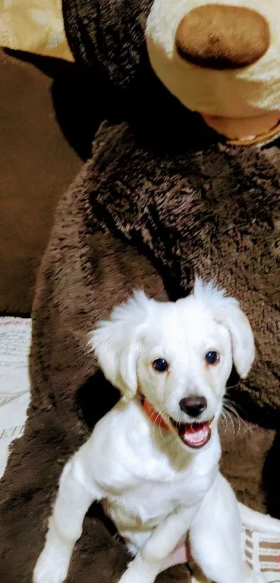 White puppy with brown teddy bear on a couch.