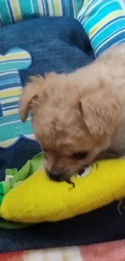 Puppy playing with a yellow toy on a colorful cushion.