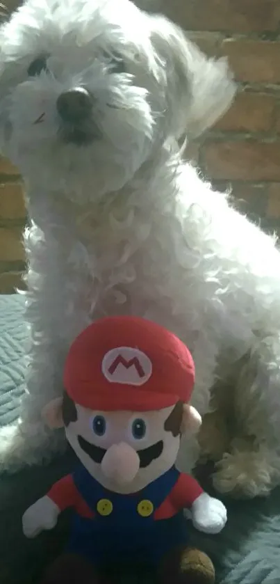 Fluffy puppy sitting with Mario toy, brick wall background.