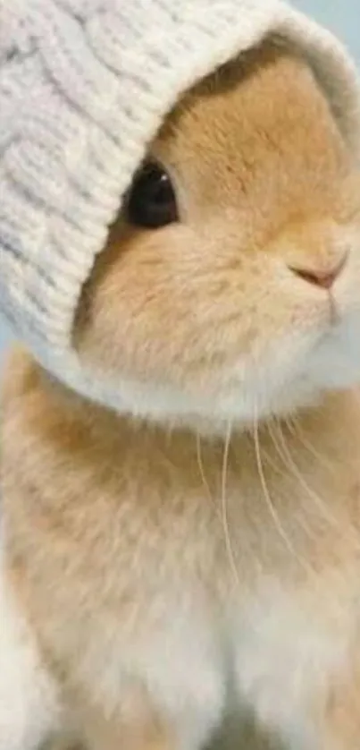 Cute rabbit wearing a knitted hat on a light blue background.