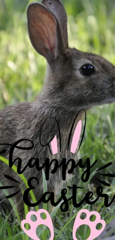 A cute rabbit is sitting in lush green grass.