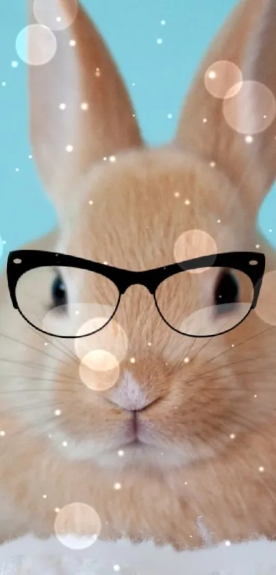 Cute rabbit with glasses and bokeh background wallpaper.