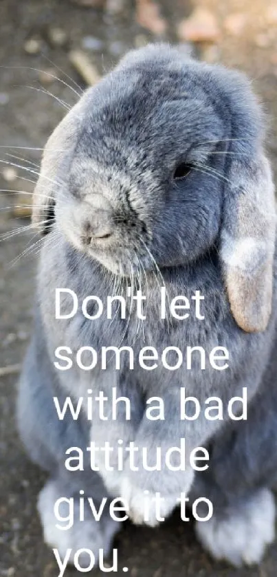 Gray bunny with an inspiring quote on a natural background.