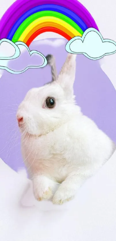 Fluffy white rabbit under rainbow with clouds on light purple background.