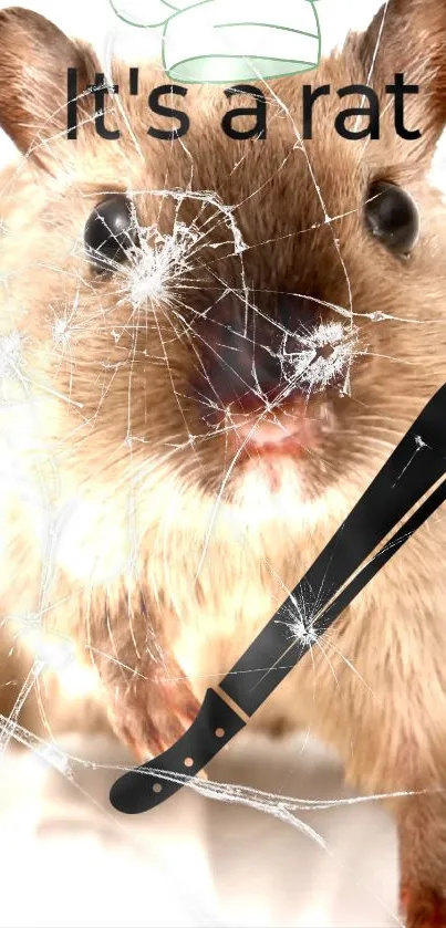 Funny wallpaper of a rat with broken glass effect.