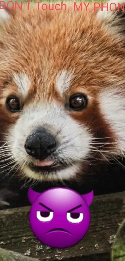 Cute red panda with devil emoji on phone wallpaper.