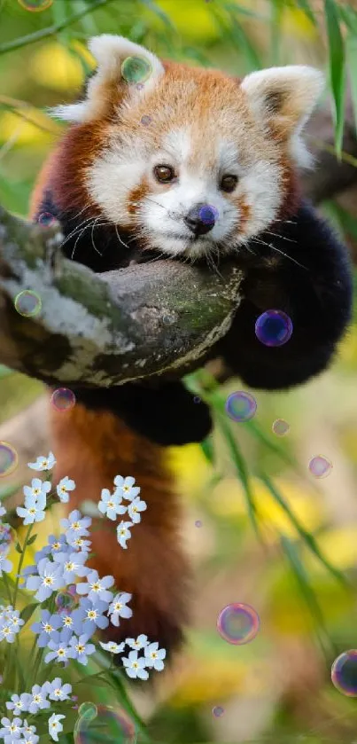 Cute red panda resting on a branch with flowers and green foliage.