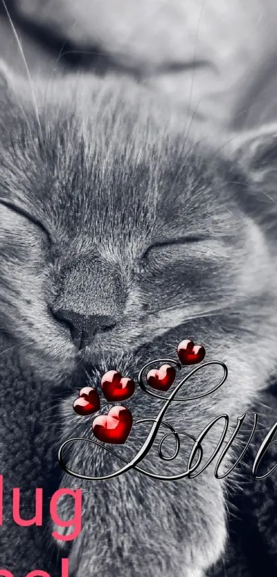 Sleeping kitten with red hearts and love text on black and white background.