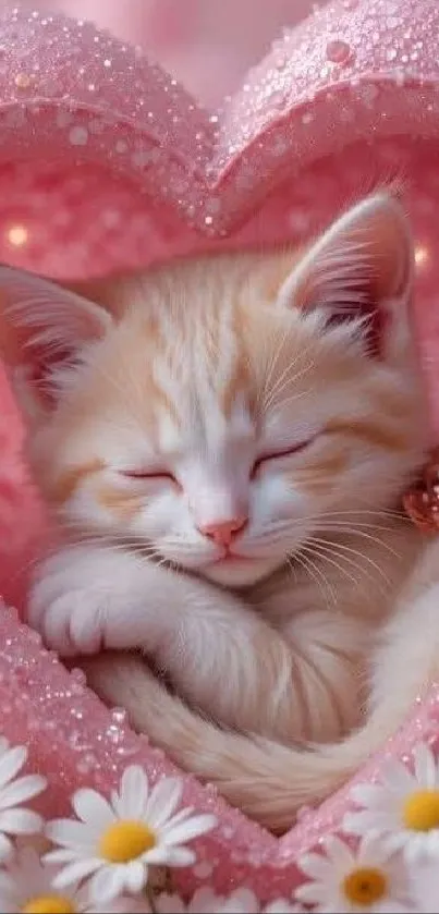 Cute sleeping kitten in pink heart with daisies.