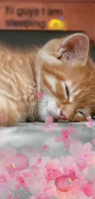 Ginger kitten sleeping with pink floral design.