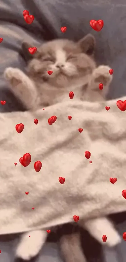 Cute kitten sleeping under a blanket with hearts floating around.