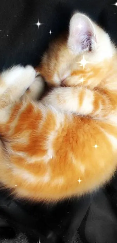 Adorable orange kitten sleeping peacefully on black fabric.