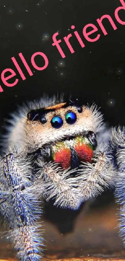 Adorable jumping spider with colorful text 'hello friend!' on wooden background.