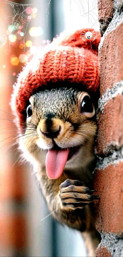 Cute squirrel in a beanie on a brick wall.