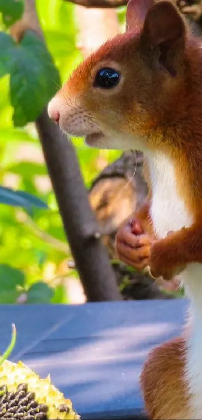 Close-up of a squirrel surrounded by lush greenery.