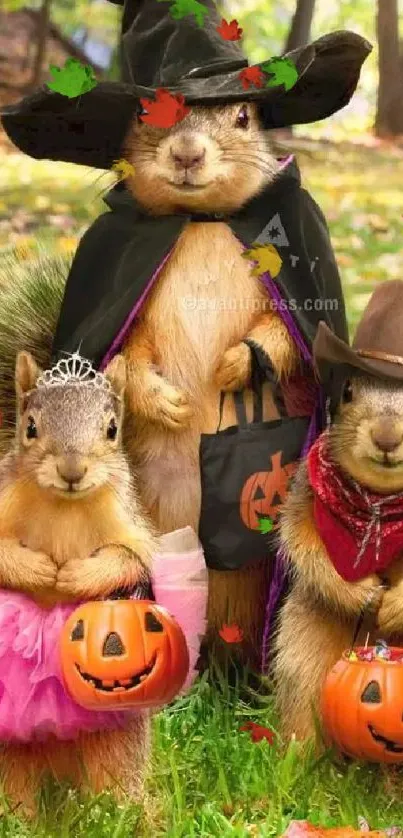 Squirrels in cute Halloween costumes on a grassy field.