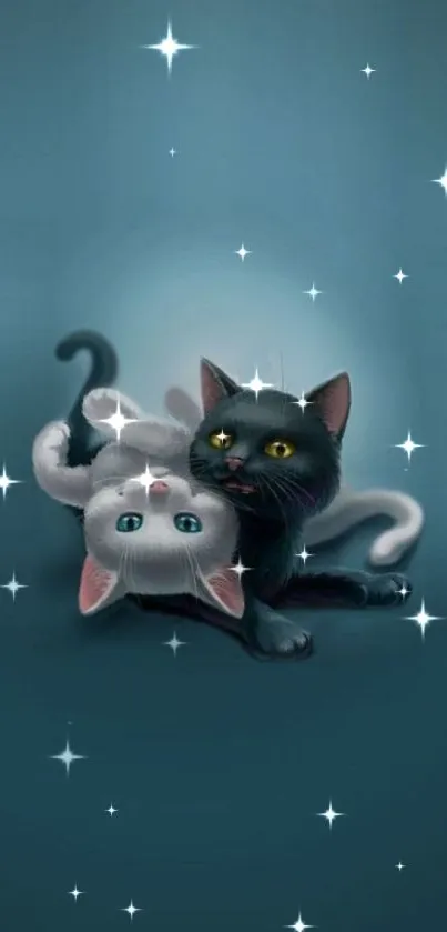 Cute cats playing on a blue background with stars.