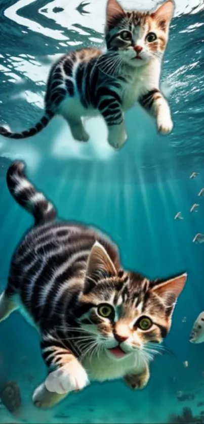 Two adorable kittens swimming underwater, surrounded by teal hues.