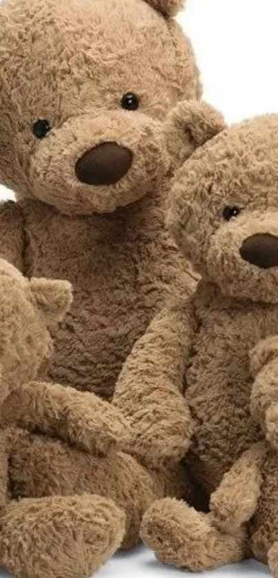 Charming brown teddy bear family cuddling together.