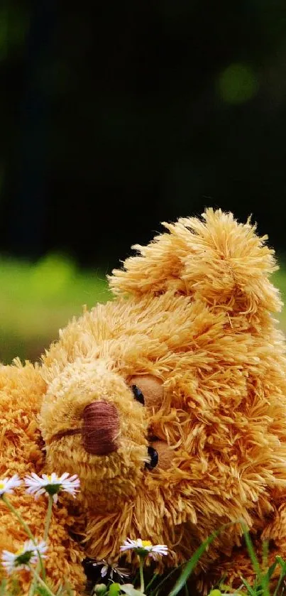 Cute teddy bear resting on grass with daisies in a natural setting.