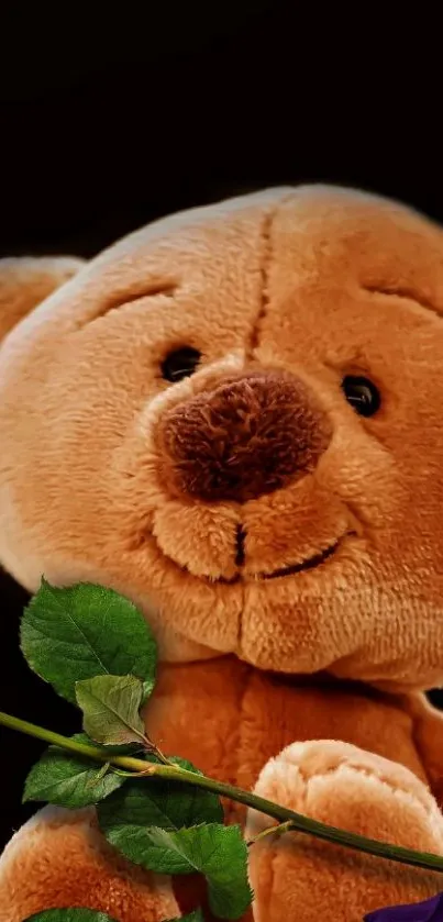 Cute teddy bear with a flower on a dark background.