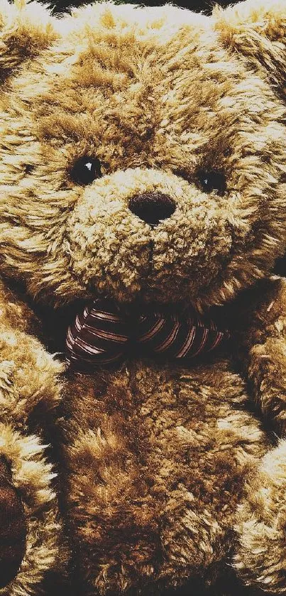 Adorable teddy bear sitting outdoors on a sunny day.