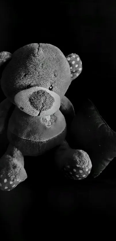 Black and white teddy bear with pillow on dark background.