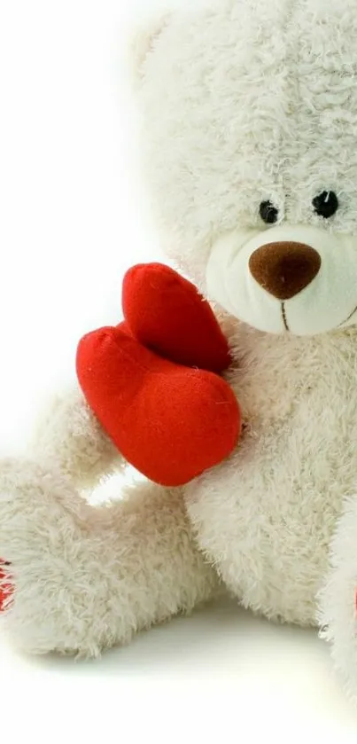 Fluffy teddy bear with red heart on white background.