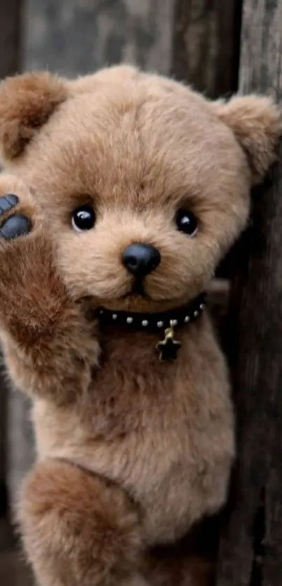 Adorable brown teddy bear on rustic wood background.