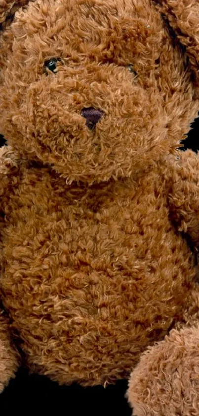 Cute brown teddy bear plush toy mobile wallpaper.