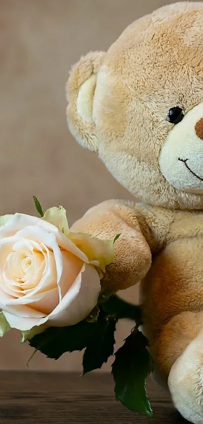 Adorable teddy bear holding white rose on brown backdrop.