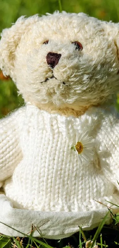 Adorable teddy bear with knitted sweater on grass field