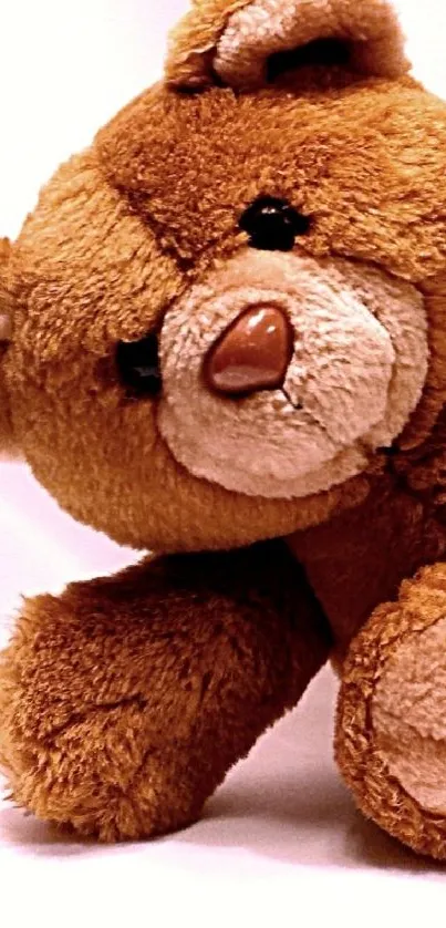 Cute teddy bear with a soft light brown hue on a gentle background.