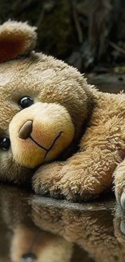 Cute teddy bear lying down reflecting in a puddle.