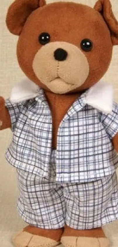 Cute teddy bear with checkered outfit, perfect for mobile wallpaper.