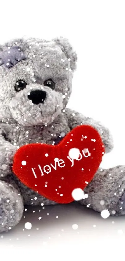 Gray teddy bear holding a red heart with 'I love you' message.