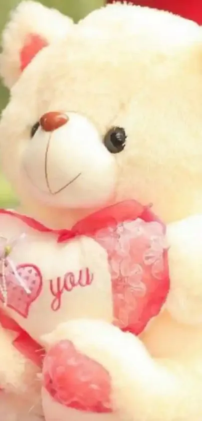 Cute teddy bear holding a heart with 'I Love You' embroidered on it.