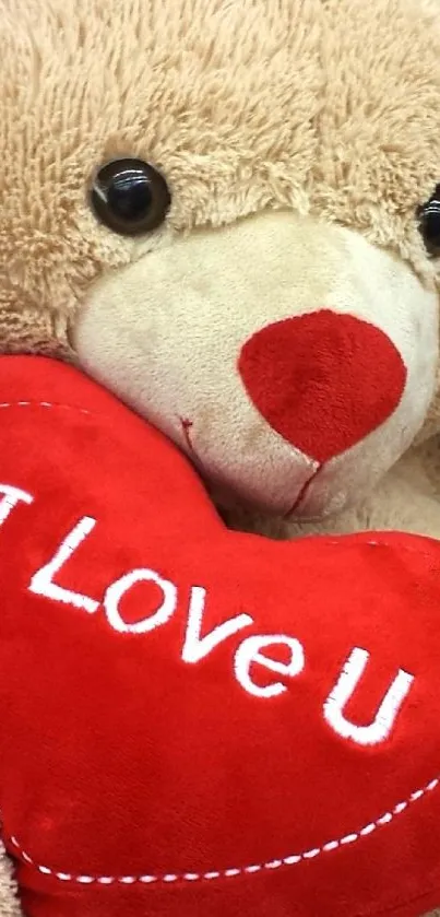 Cute teddy bear with 'I Love U' red heart cushion accent.