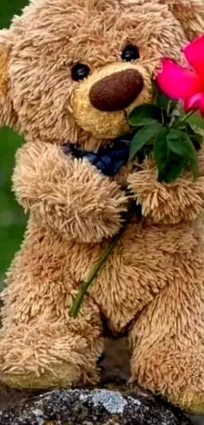 Cute teddy bear holding a vibrant red rose. Ideal mobile wallpaper.