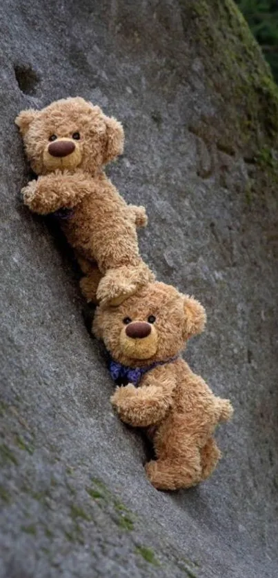 Teddy bears climb a rugged stone in nature.