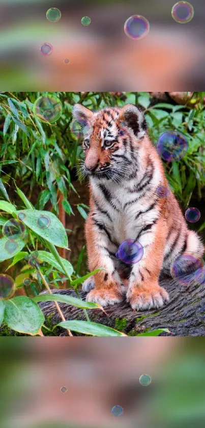 Adorable tiger cub amidst lush greenery with bubbles.