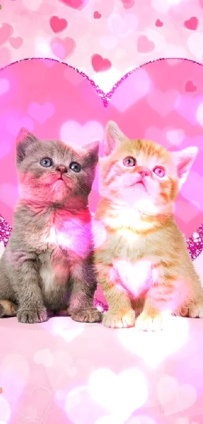 Two cute kittens with pink hearts background.