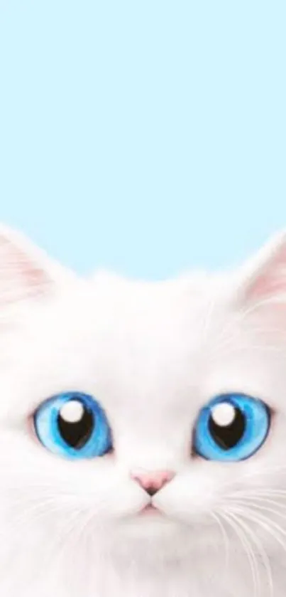 Cute white cat with blue eyes on a light blue background.