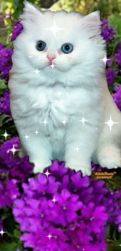 A cute white kitten among purple flowers.