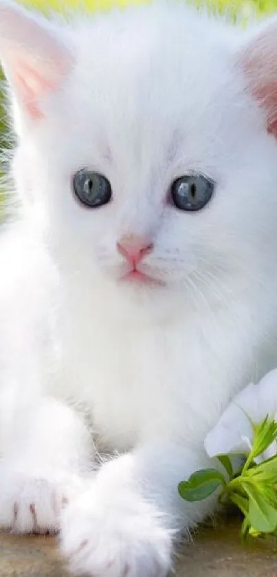 Cute white kitten with flowers in a vibrant setting.